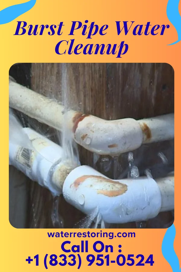 Burst Pipe Water Cleanup in West Hammond, NM
