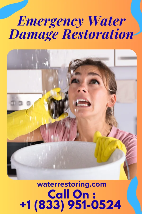 Emergency Water Damage Restoration in West Hammond, NM