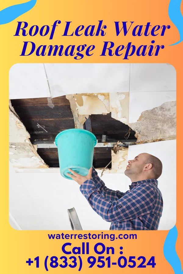 Roof Leak Water Damage Repair in West Hammond, NM