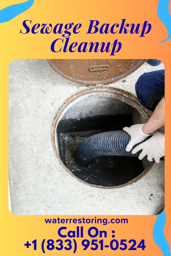 Sewage Backup Cleanup in West Hammond, NM
