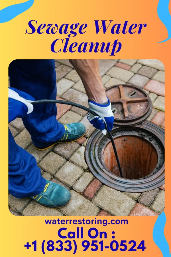 Sewage Water Cleanup in West Hammond, NM